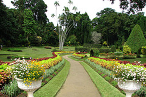 attraction_botanical-garden